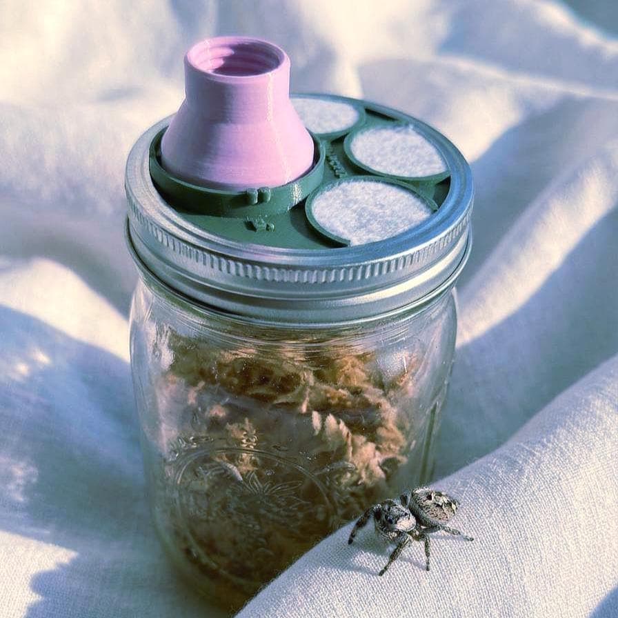 SnapFlyer mason jar lid on a Ball wide-mouth jar with jumping spider